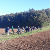 groupe normal/soutenu